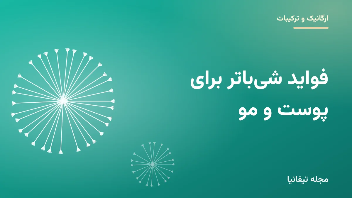 تصویر شاخص مقاله «فواید شیباتر برای پوست و مو؛ روش استفاده و انتخاب شیباتر مناسب»