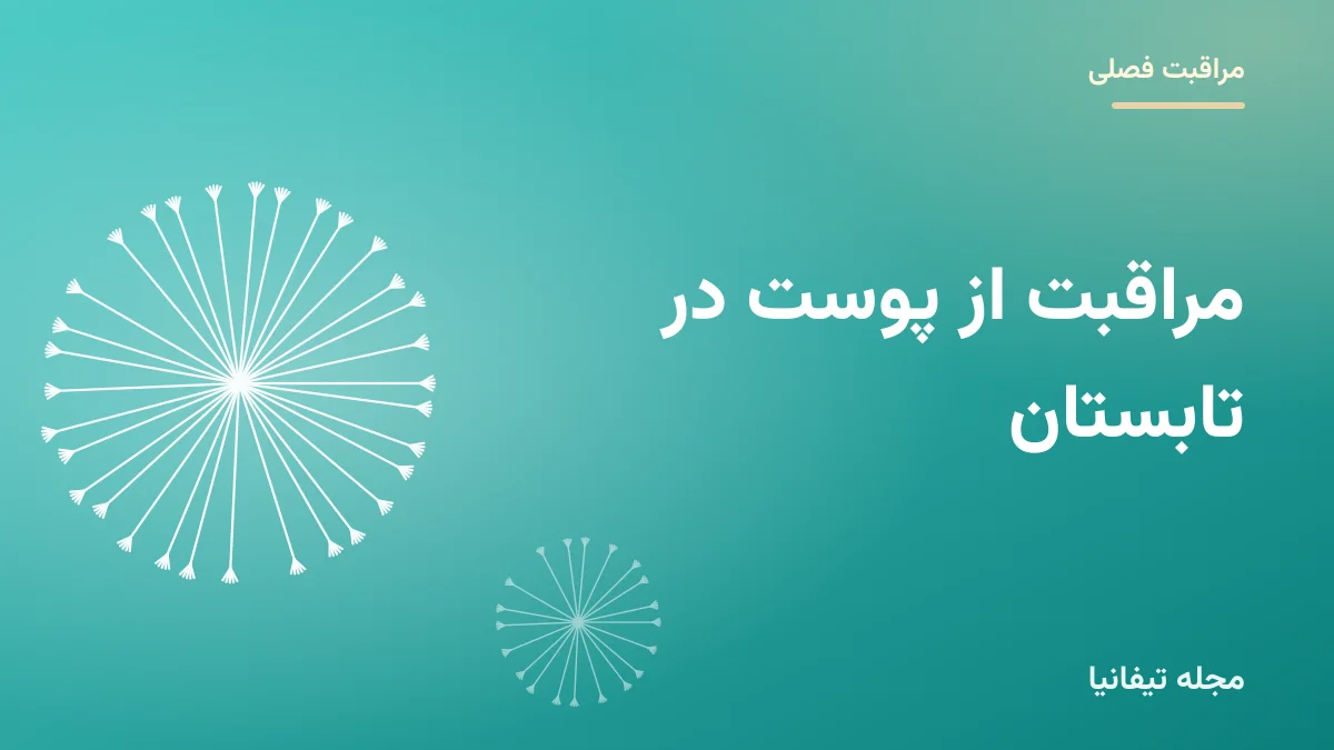 تصویر شاخص مقاله «مراقبت از پوست در تابستان: روتین سبک، ضدآفتاب و آبرسانی»